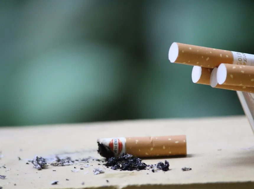 BioSample cigarette dans un cendrier